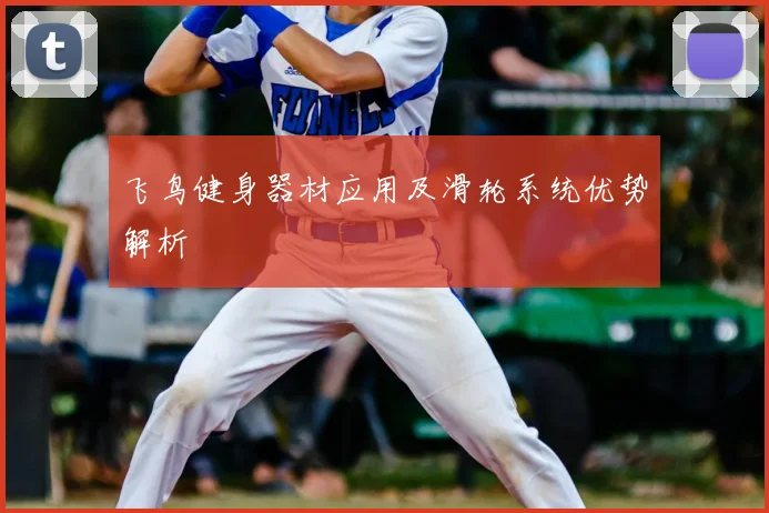 飞鸟健身器材应用及滑轮系统优势解析