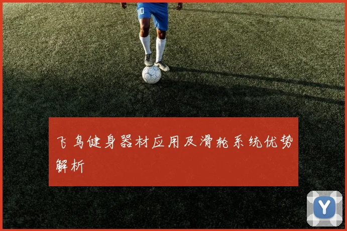 飞鸟健身器材应用及滑轮系统优势解析