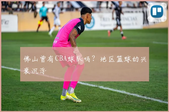 佛山曾有CBA球队吗？地区篮球的兴衰沉浮